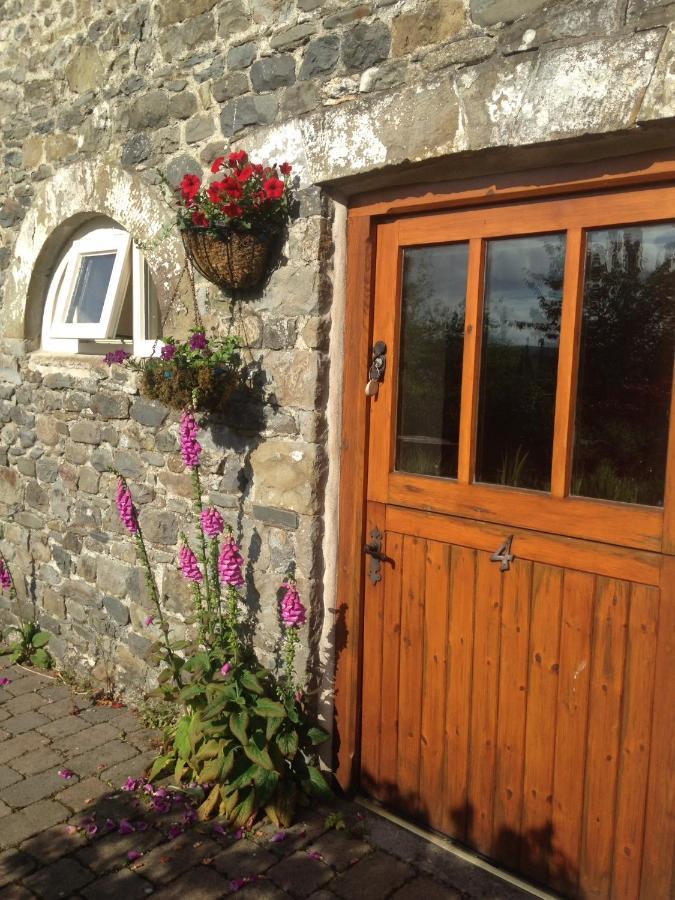 Henllys Estate B And B Llandovery Exterior foto